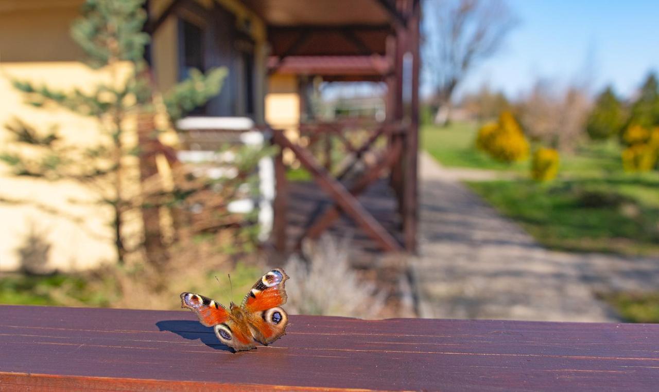 Przyjazna Osada - Domki I Apartamenty Ujście-Darłowskie Buitenkant foto